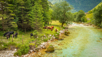 Vivid turquoise Soca river valley near Bovec in Triglav National Park, Julian Alps, Slovenia,...