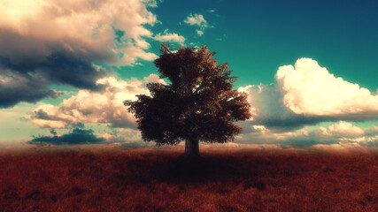 Beautiful landscape with a lonely tree in a field - 418513173