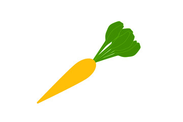 carrot. Fresh cartoon vegetable isolated on white background.