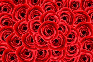 Red roses view from above, pattern. Solid background.