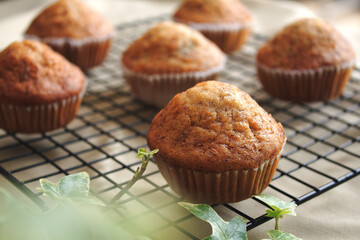 Banana cake or Muffins bakery placed on cooling rack or grille, Decorate with ivy plant on top table, Activity or Hobby making Cupcake at home in holiday.