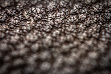 Naklejka premium Extreme closeup of a leather