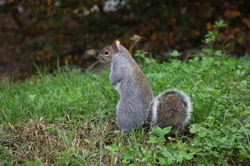 181123-24 Турин Италия Turin Italy