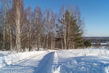 Obraz premium Winter landscape with expensive in wood at solar day