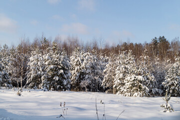 Winter landscape with wood on background sky with cloud
