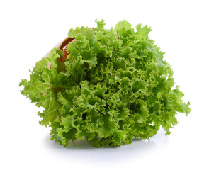 Salad leaf. Lettuce isolated on white background.