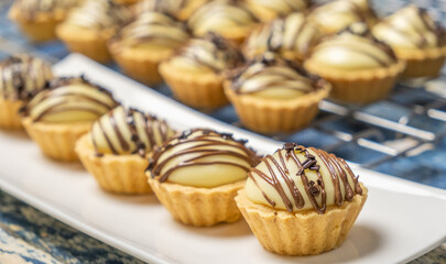 Freshly baked cheese tart with chocolate toppings. Selective focus.