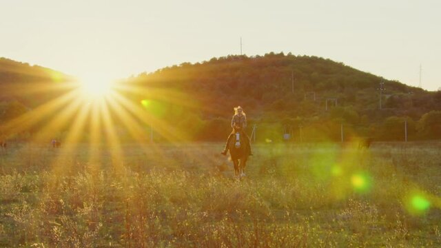 A woman rides a horse at sunset. A woman astride the horse slowly moves across the field with hills. Sun rays and glares