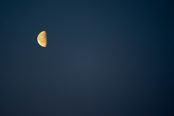 half a moon in the morning sky
