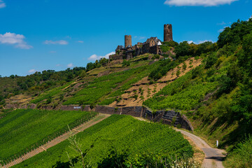 Fototapeta na wymiar The ruins of Thurant Castle on the Moselle, Germany.