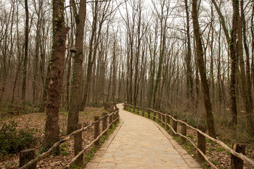 Ormanyan Izmit City Park, colorful wooden houses for tourism inspired by the movie The Hobbit, March 6, Kocaeli, Turkey
