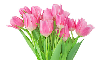 Spring flowers. Flowers bouquet with pink tulips isolated on white background. .