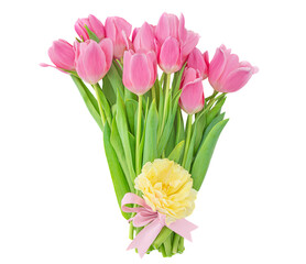 Spring flowers. with pink tulips isolated on white background. .
