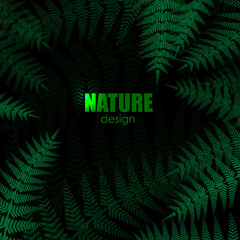 forest concept. fern leaves on the dark background