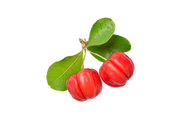 Two Acerola cherry fruits  with green leaves isolated on white background. Clipping path.
