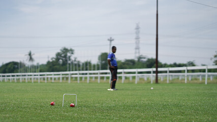 Gateball is a mallet team sport inspired by croquet. It is a fast-paced, non-contact, highly strategic team game, which can be played by anyone regardless of age or gender