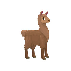 Brown alpaca or lama isolated LLama, South American hoofed mammal. Vector domesticated pack animal of camel family in Andes, valued for its soft woolly fleece. LLama baby character, guanaco wild lama
