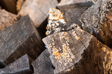 Stack of distressed firewood in winter for a fire ~STACK~
