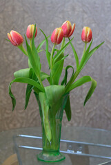 tulips in vase