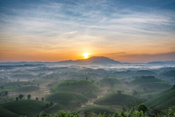 Sunrise in Tea hills in Long Coc highland, Phu Tho province in Vietnam