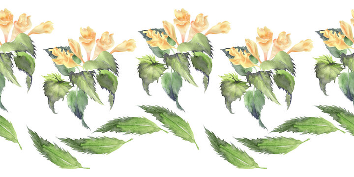 Watercolor seamless border with a plant Mariannick Asherah
