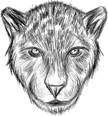 Panther portrait sketch - stylized wild cat art sketch