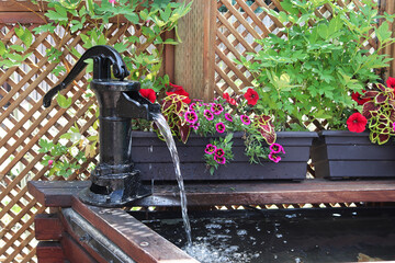 A water fountain infront of a lattice with annuals