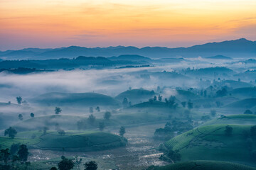 Sunrise in Tea hills in Long Coc highland, Phu Tho province in Vietnam