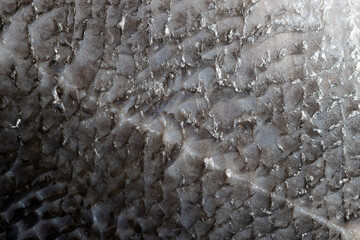 closeup of a salmon filet with skin used as a condiment for healthy, low-carb diet with less fat