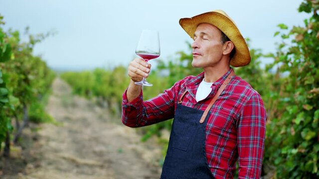 Charismatic mature farmer man take a glass of organic wine in the middle of his vineyard he taste the wine and feeling enjoying. 4k