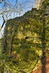 Ein großer Felsen, der mit Moos bedeckt ist in einem Waldstück im Altmühltal in Bayern, Deutschland.