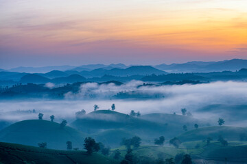 Sunrise in Tea hills in Long Coc highland, Phu Tho province in Vietnam