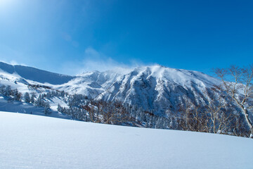 Fototapeta na wymiar 北海道　十勝岳連峰の冬の風景