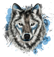 Grey wolf stylized digital portrait 