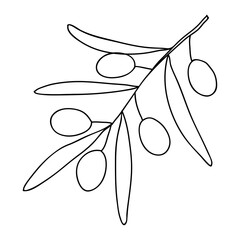 Olive tree in vector doodle style. Olive tree branch. Vector olive tree for background, texture, wrapper pattern, frame or border.