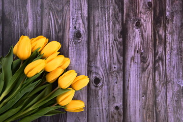 bouquet of yellow tulips on the background of an old gray wooden board, copy space. Valentine's Day, Woman's Day and Mother's Day concept.