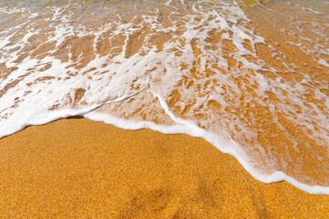 Soft sea wave on a sandy beach without people on a sunny day