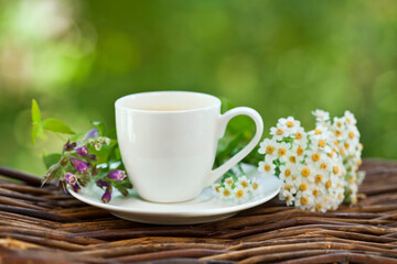 Obraz na płótnie Canvas Herbal tea with Achillea salicifolia white flowers and a white cup of herbal tea on a green bokeh background. Garden tea ceremony. 