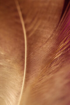 Naturdetails in der natur