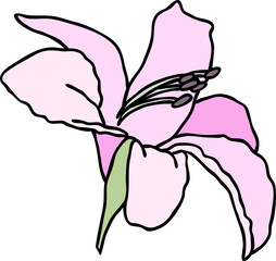 Light purple lily flower print. Vector illustration.