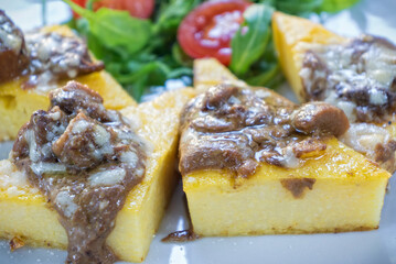 Italian polenta with mushroom sauce