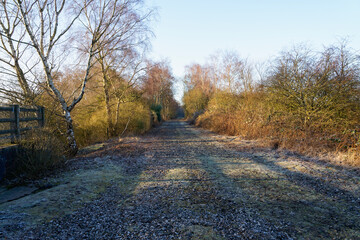 Obraz premium On a long abandoned railway track in the winter sunlight