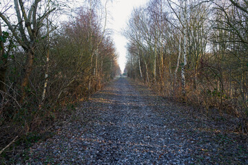 Obraz premium Long, straight, disused railway track on a frosty morning