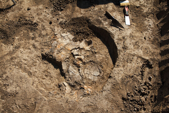 Neolithicum Neolithicum bilder – Bläddra bland 21,233 stockfoton, vektorer och ...