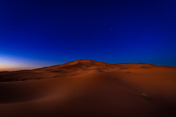 Fototapeta na wymiar View of the beautiful Erg Chebbi dunes at night, under a deep blue sky with stars.