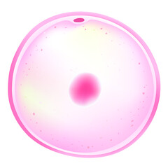 An oocyte is an immature egg (an immature ovum).