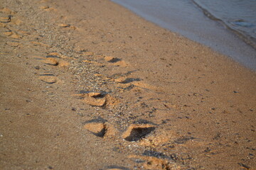 Fototapeta na wymiar Footprints on a sandy beach next to the water at sunset