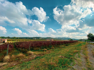 Castelvetro, Modena