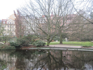 Obraz premium People walking in the city. Scenic Karlsbad cityscape with back view group of people. Adult and children walk outdoors.