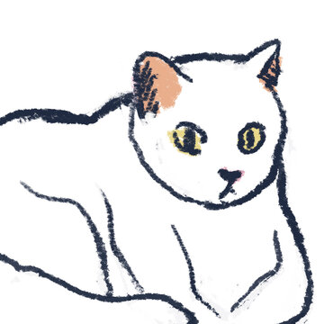 cat sketch drawing art illustration